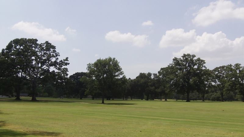 Webb Park Golf Course 4