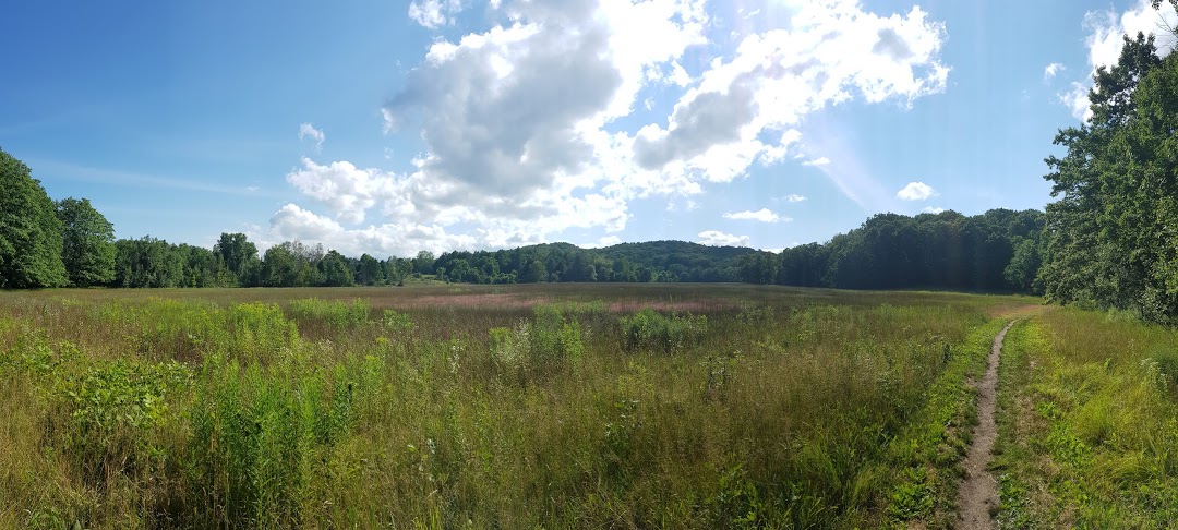 Hickory Meadows5