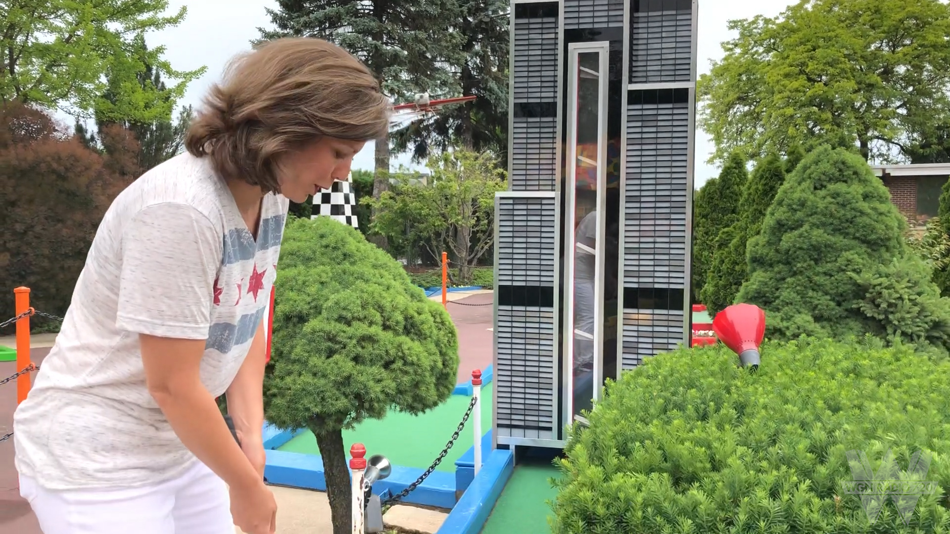 Par-King Skill Golf 3
