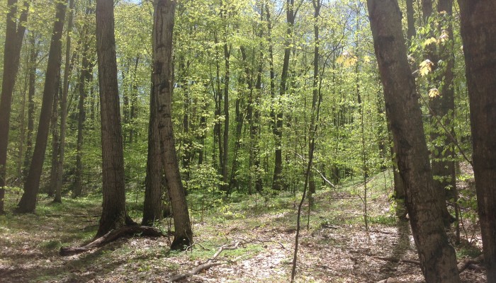 Fruithaven Nature Preserve5