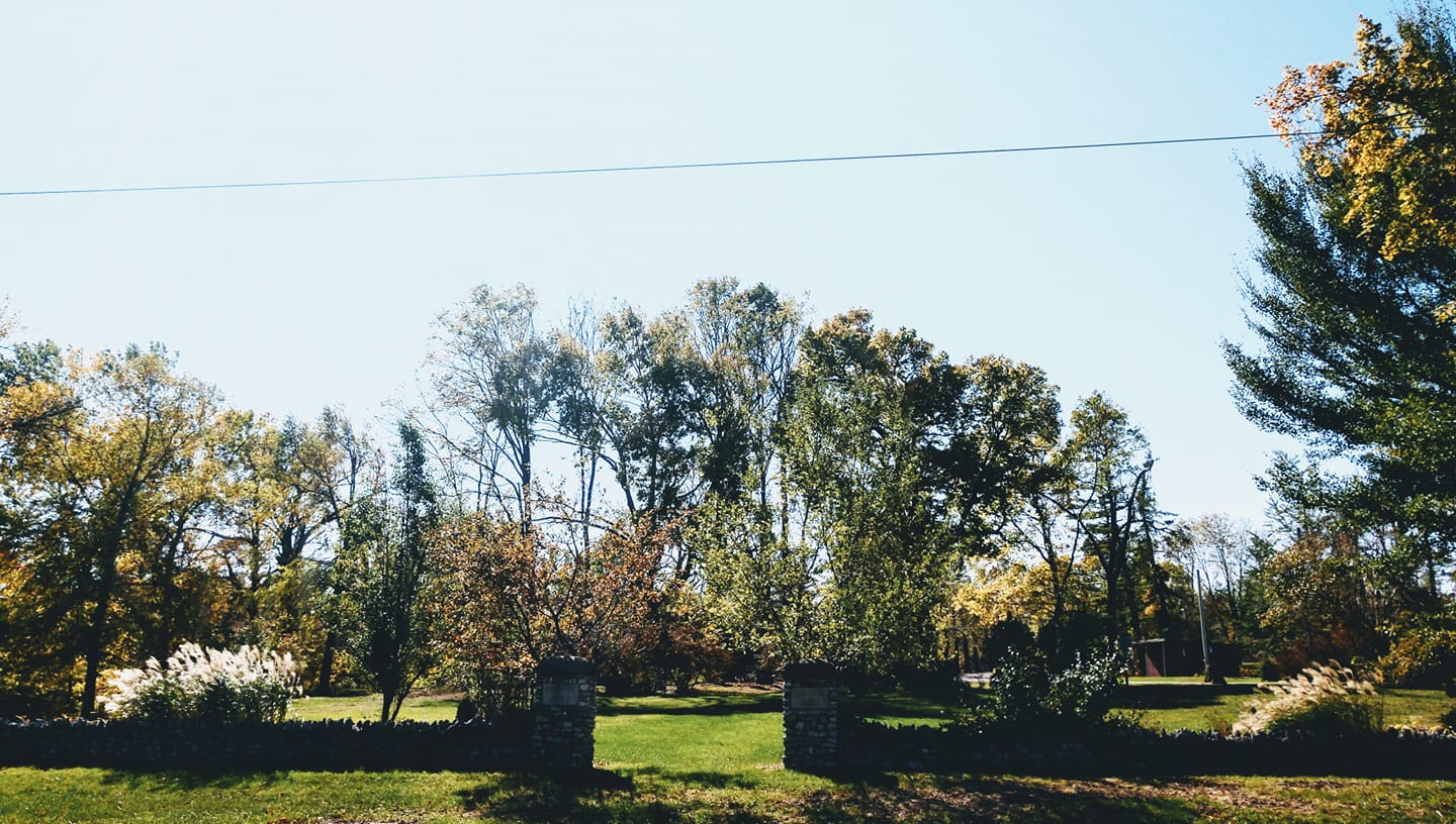 Ellis Park7