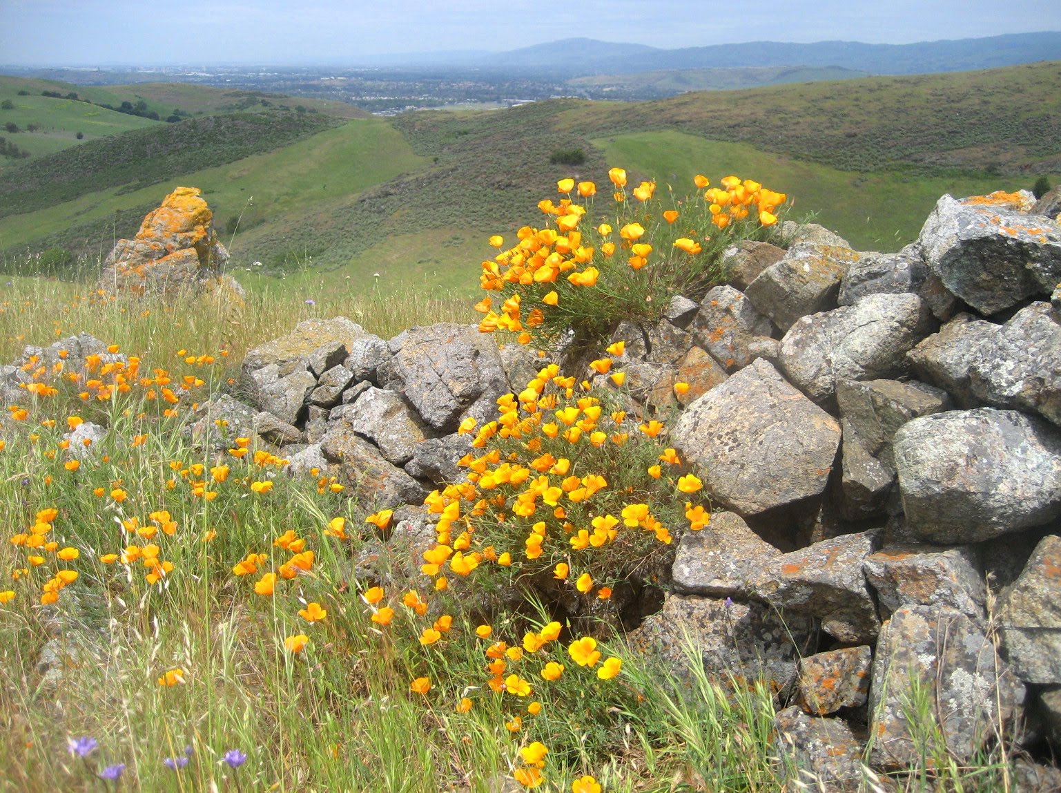 Santa Teresa County Park4