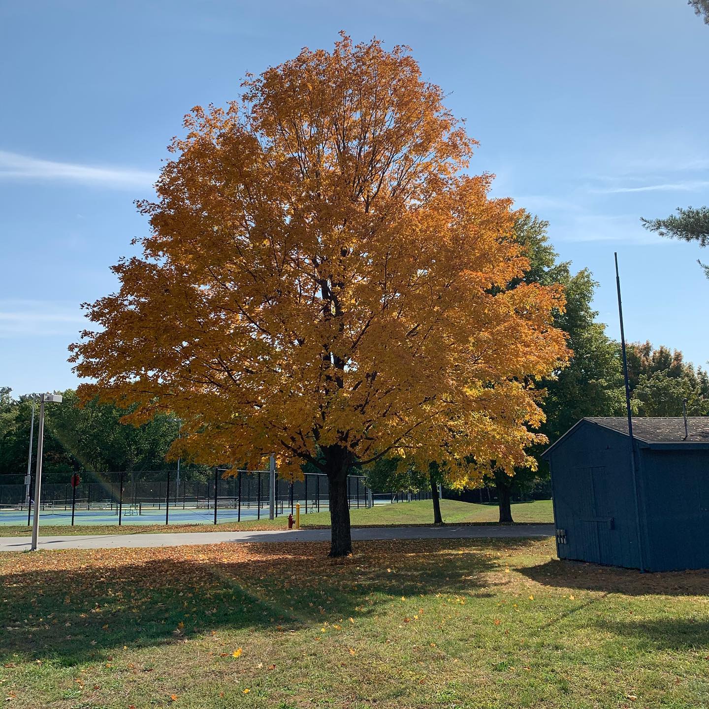 Plymouth Park and Recreation Department5