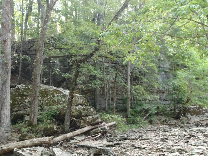 Three Creeks Conservation Area 1