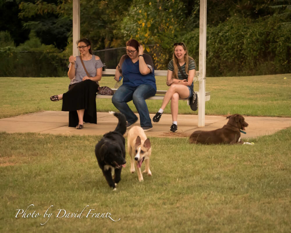 Aiken Dog Park5