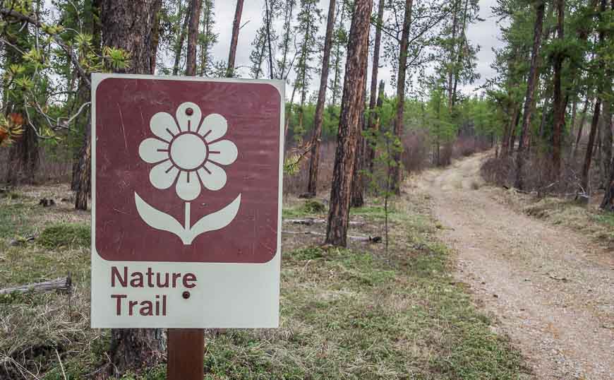 Greig Park Nature Trail 5