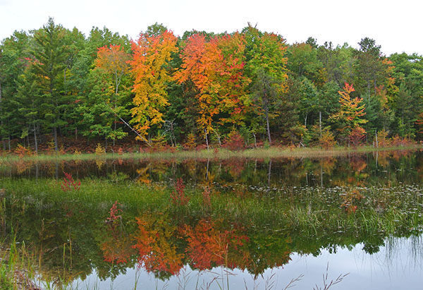 Muncie Lakes Pathway4