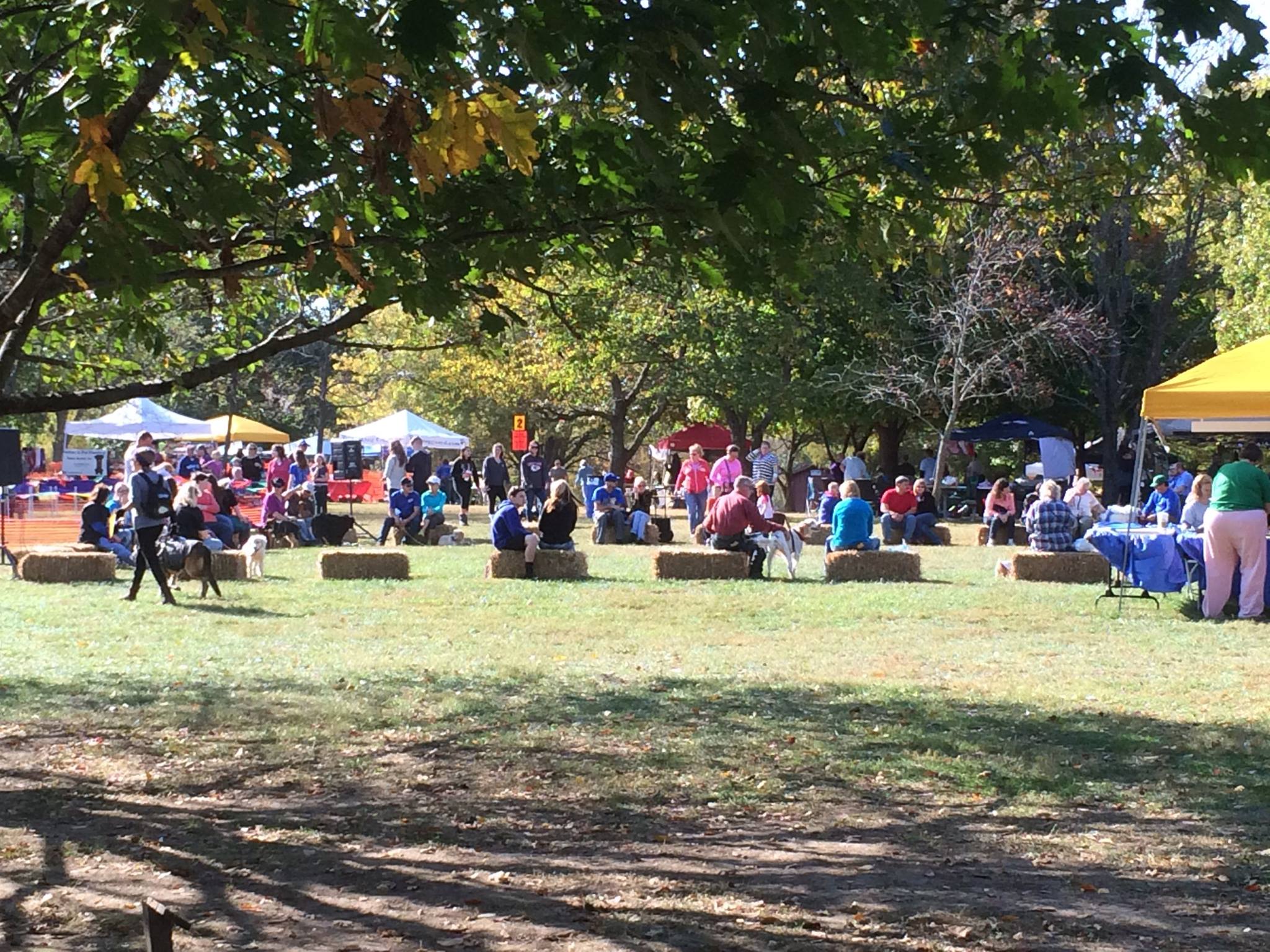 Fleming Park3