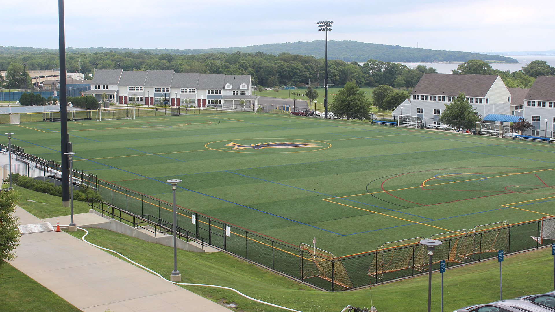 Bayside Field2