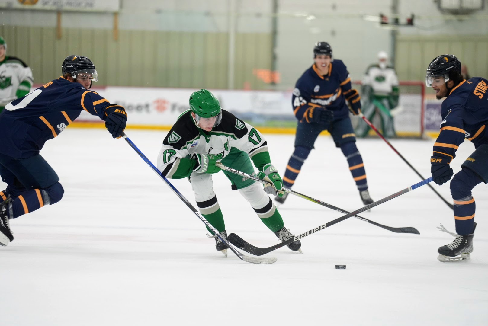 Chippewa Area Ice Arena action shot.jpeg