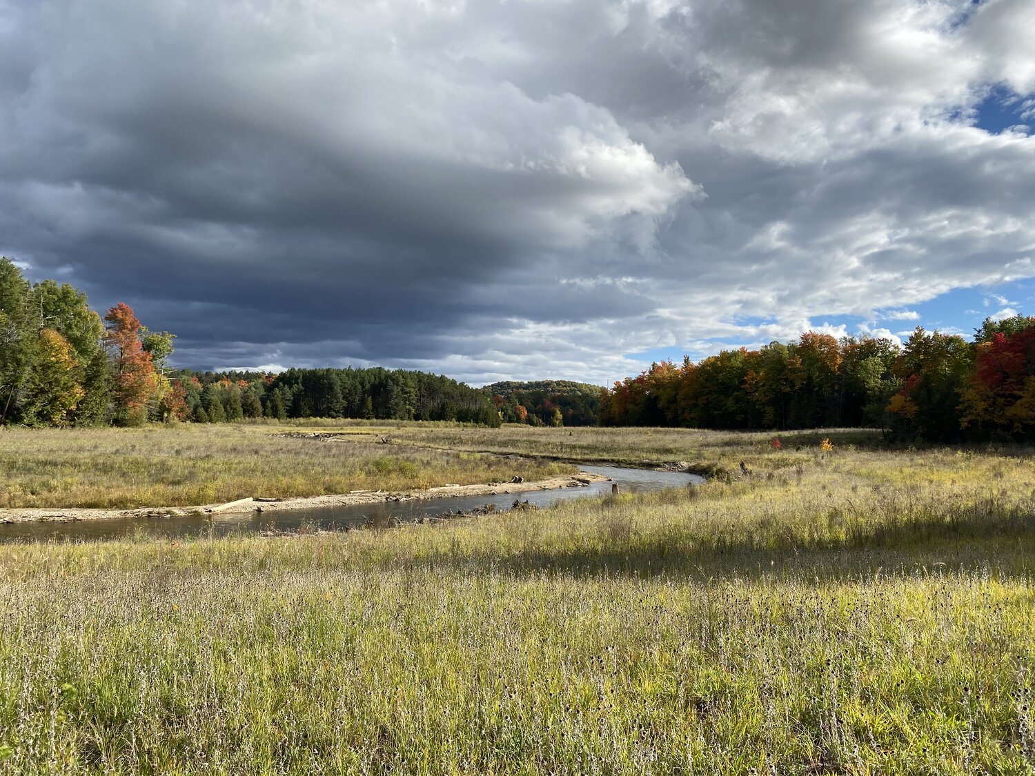Grand Traverse Natural Education Preserve3