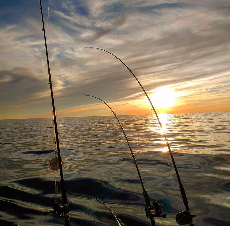 Lured Inn Charters 6