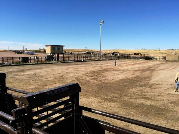 Southern Campbell County Agricultural Complex 6