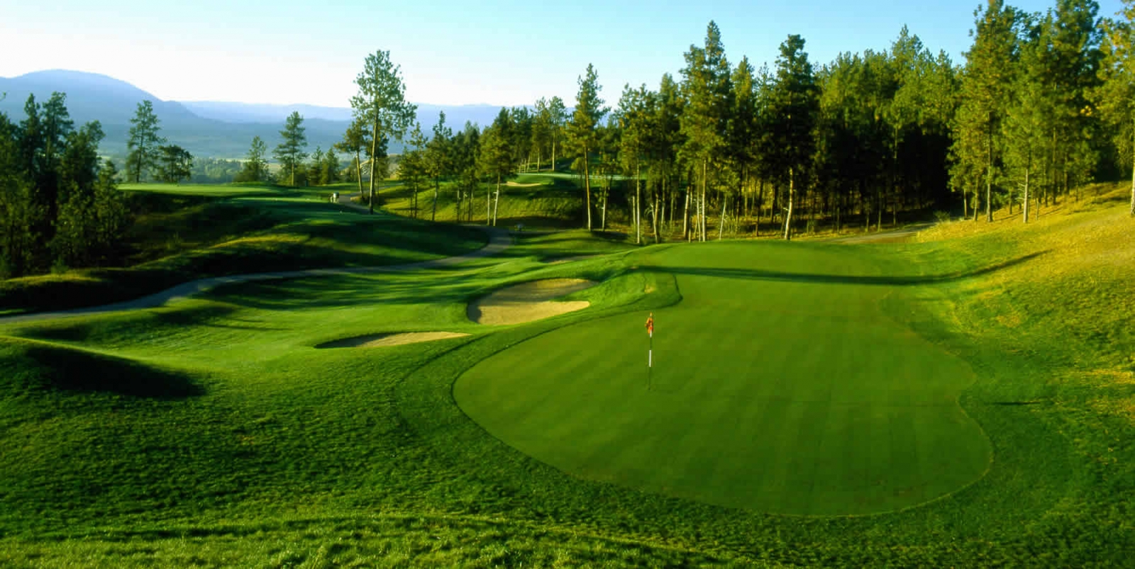 Four Oaks 4