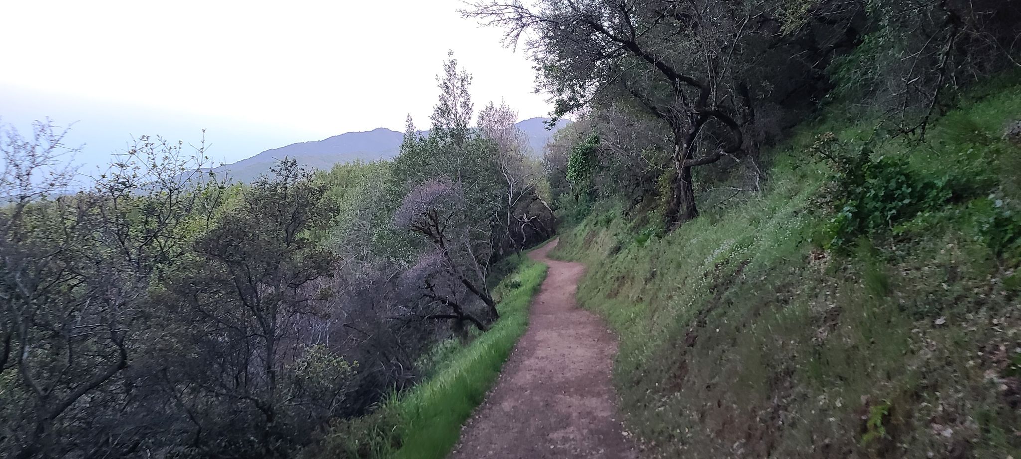 Mount Umunhum3