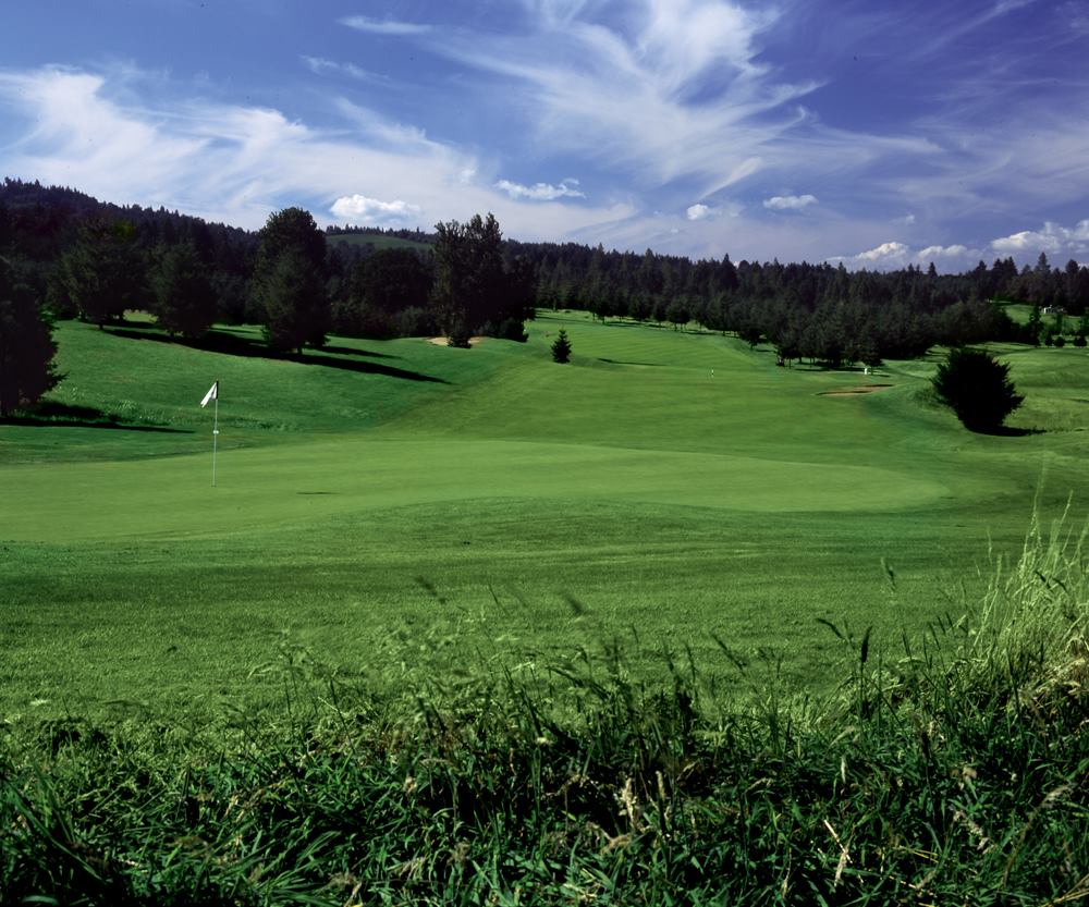 Diamond Woods Golf Course3
