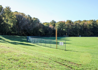 Powell Ford 5