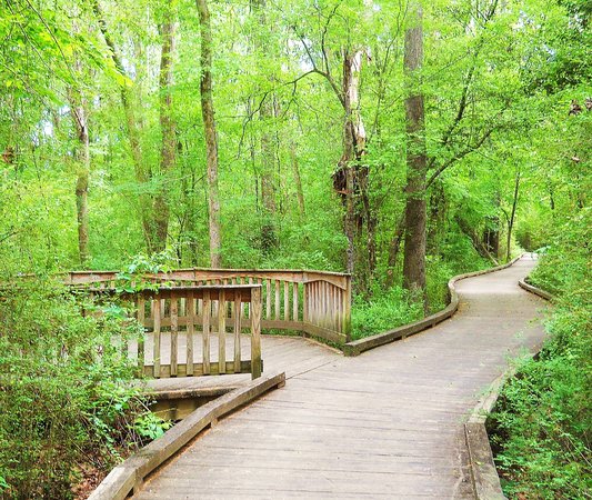 Euchee Creek Greenway 2