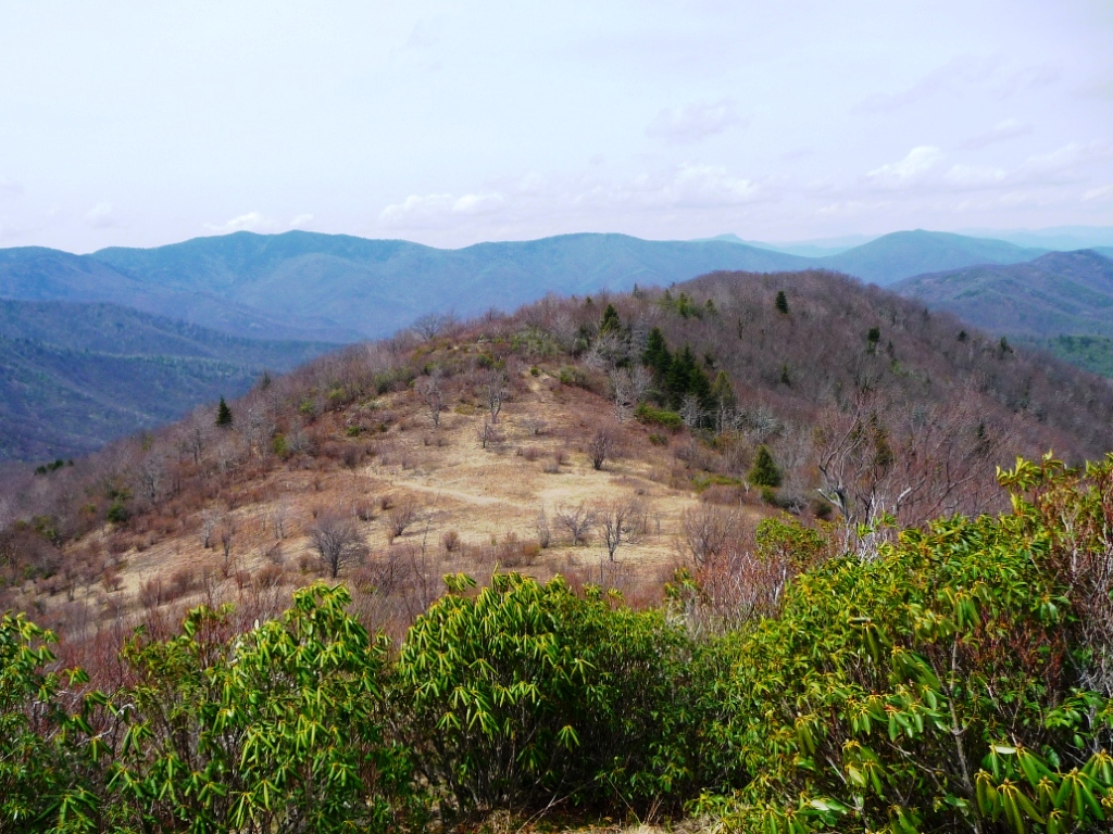 Fork Mountain Trail3
