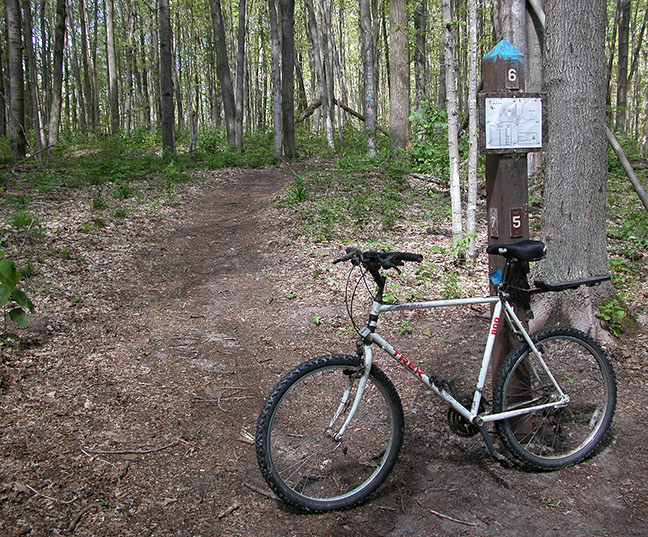 Lake Ann Pathway3