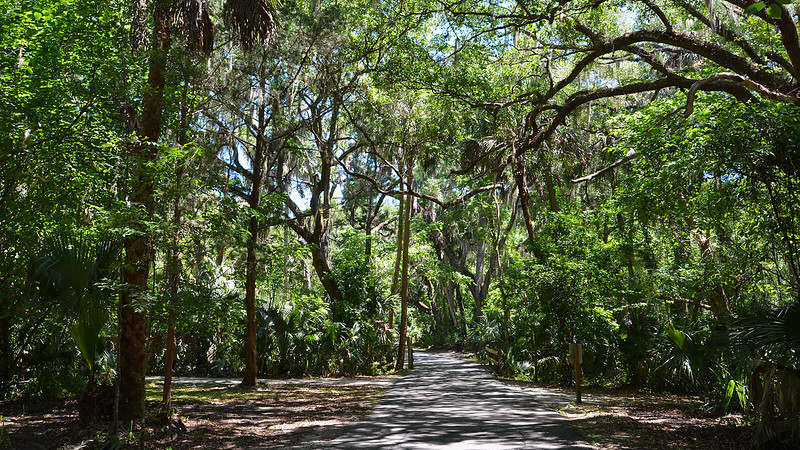Green Springs Park7