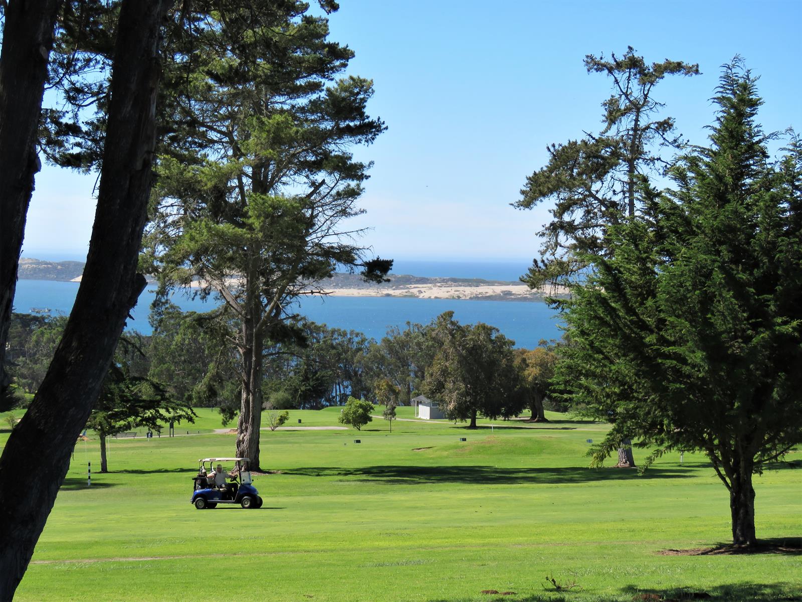 Morro-Bay-Golf-Course-2-by-Cindy-Shanks