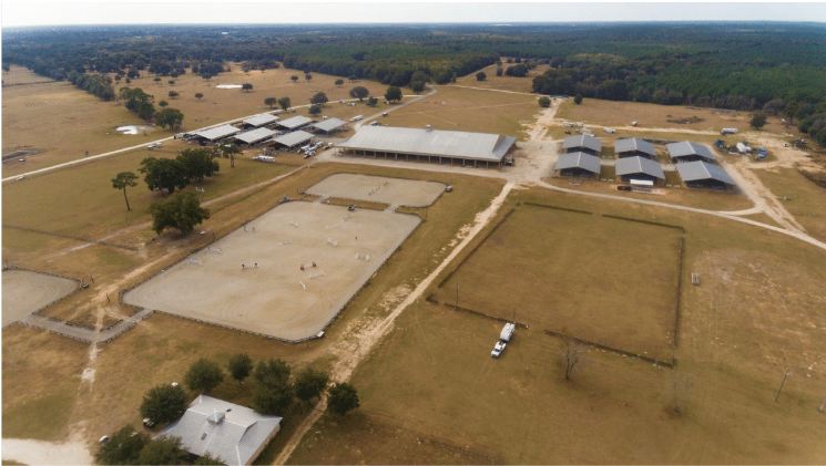 Florida Horse Park6