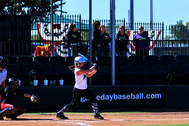 Play Ball at First Tennessee Fields  Andrea Zucker.jpg
