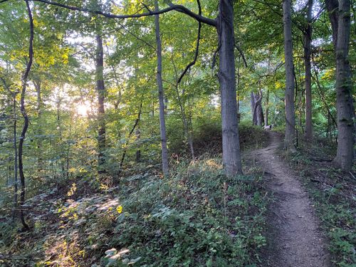 Broughtons Nature and Wildlife Education Area2