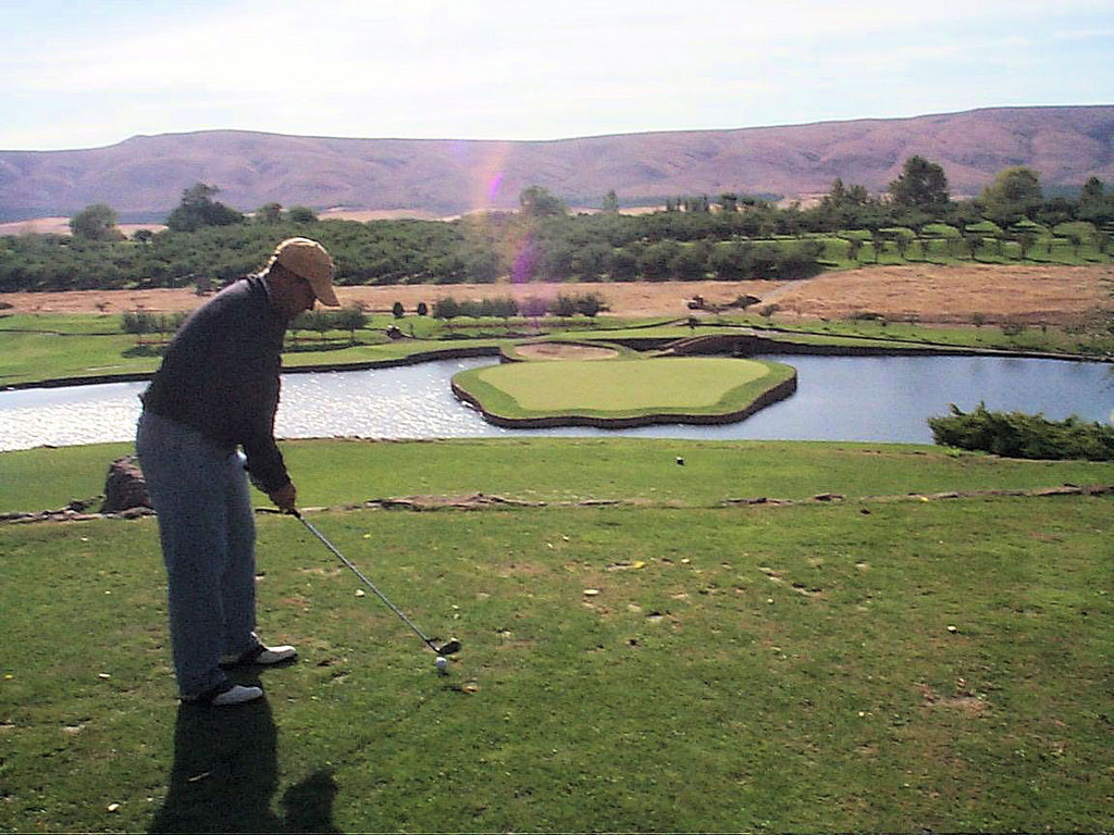 Bill-Apple-Tree-17th-tee