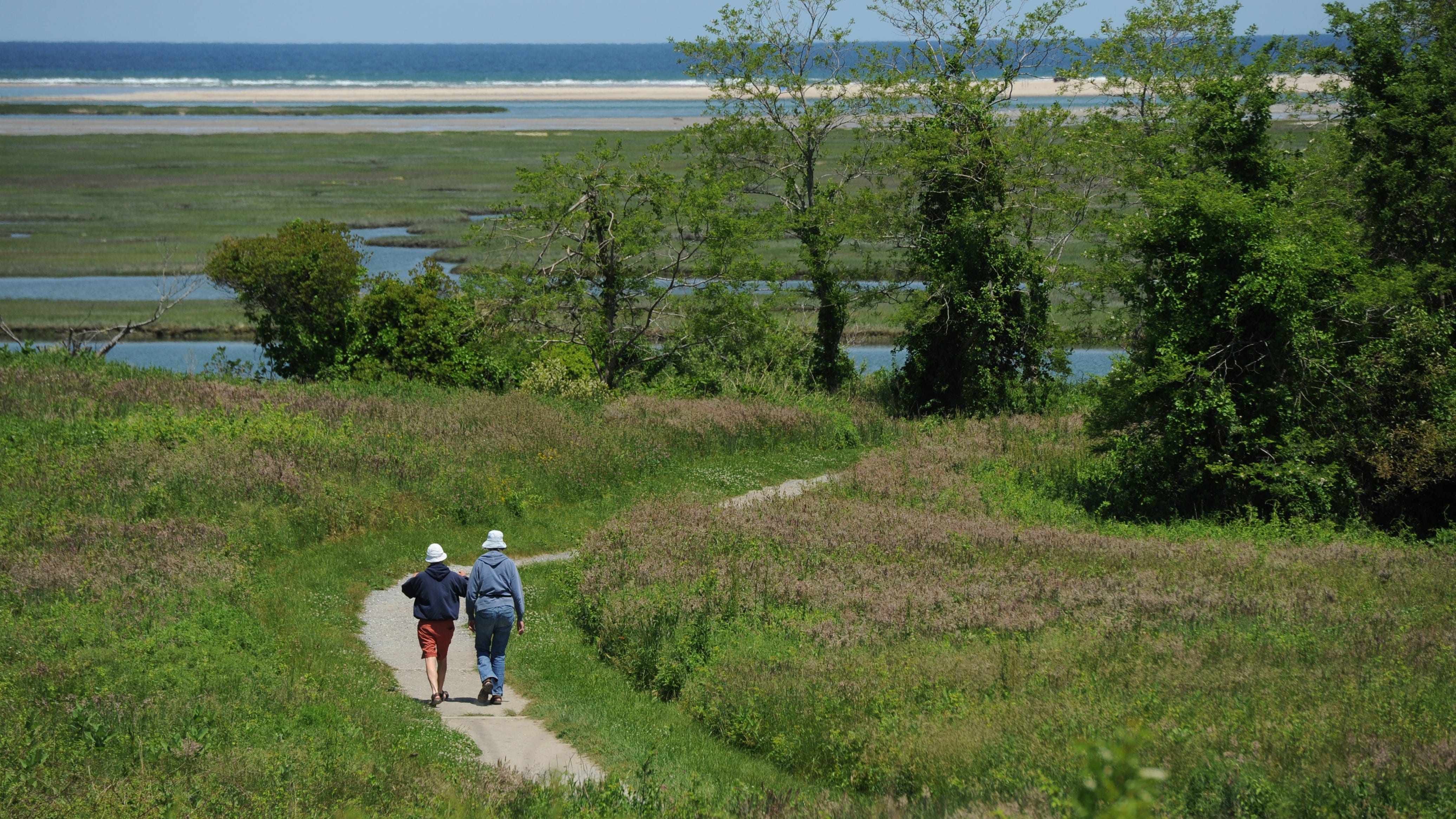 harbor view trail 4
