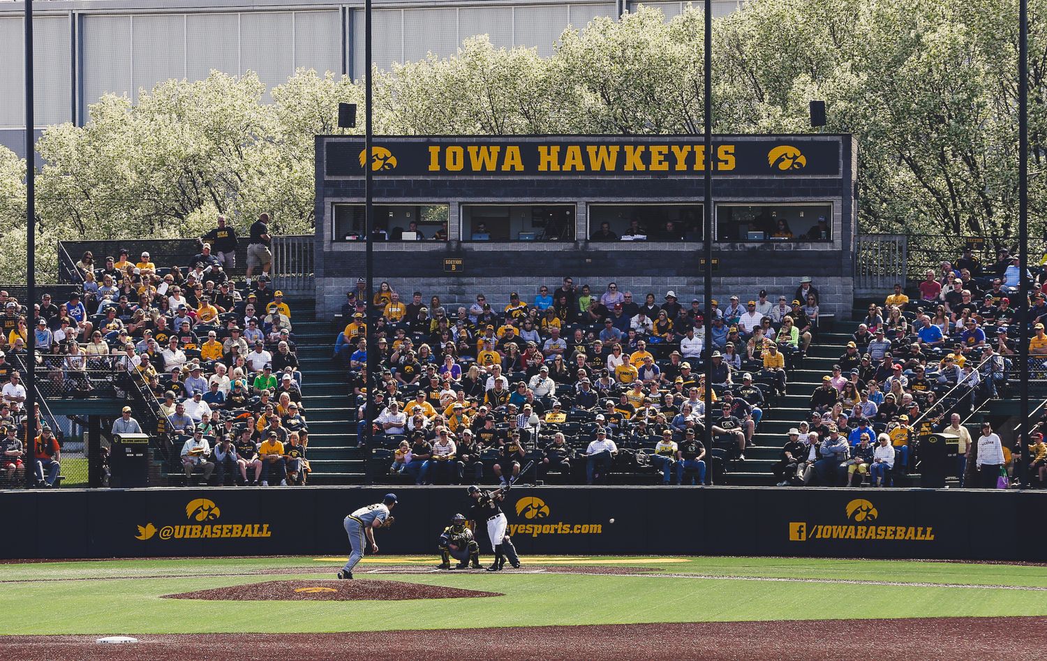 Duane Banks Field