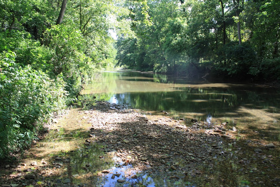 Three Creeks Conservation Area 2