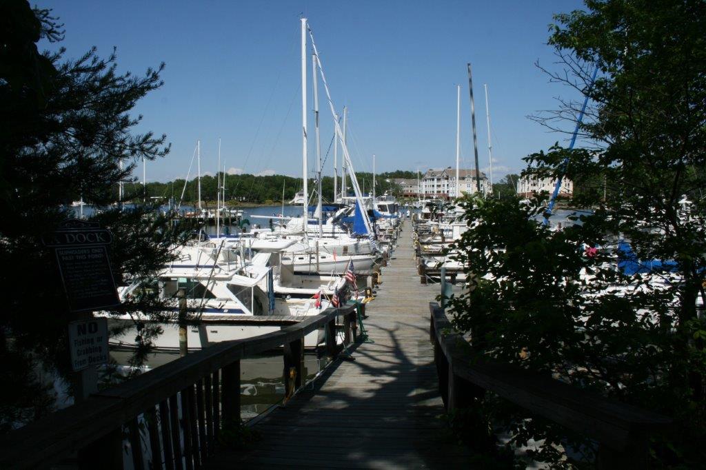 Spring Cove Marina dock