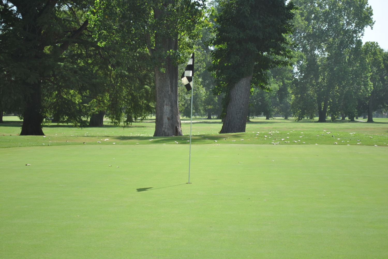 Querbes Park Golf Course