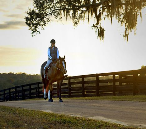 Golden Ocala Golf and Equestrian Club5