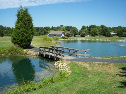 Cove Creek 4