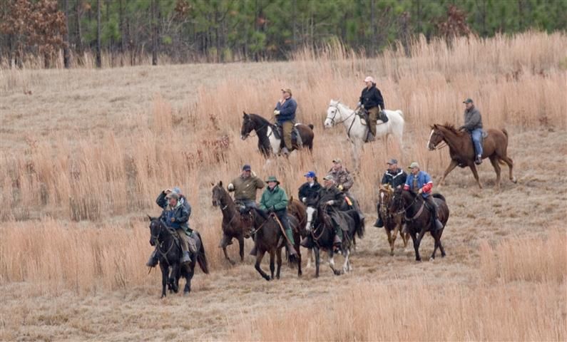 H. Cooper Black Jr. Memorial Field Trial and Recreation Area7