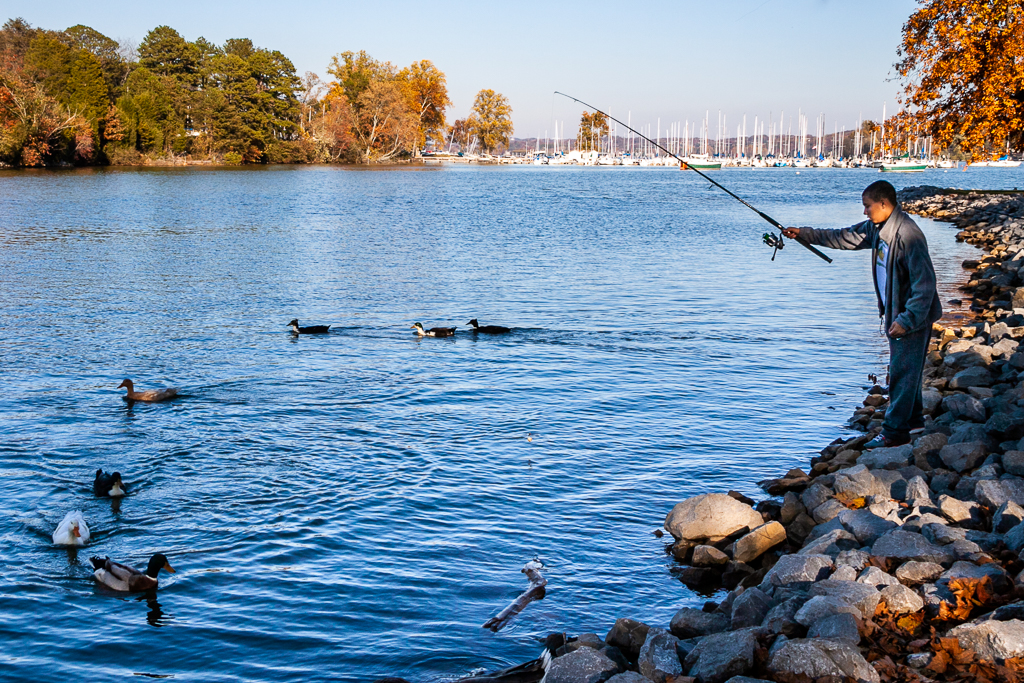 Cove at Concord Park6