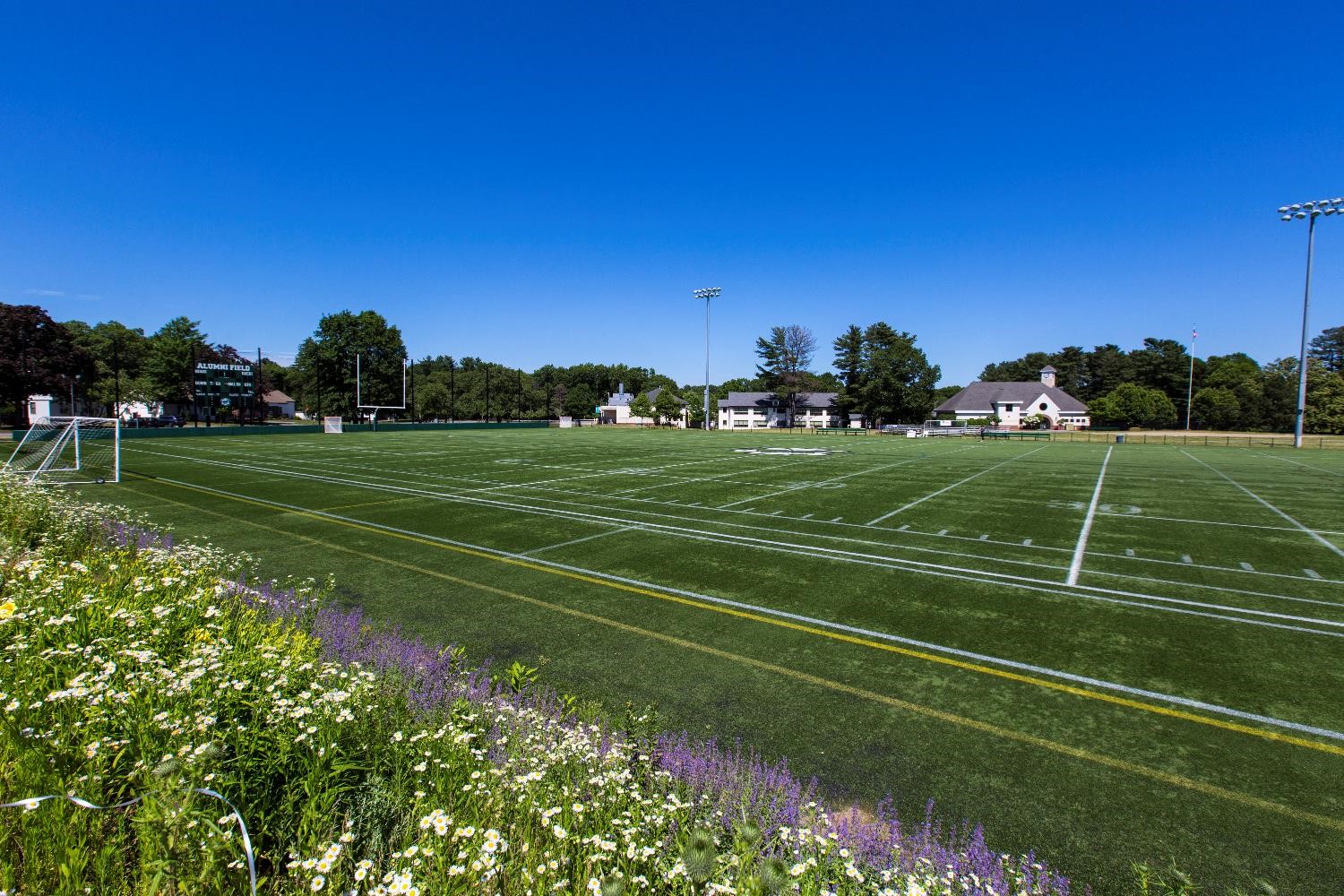 Synthetic Field