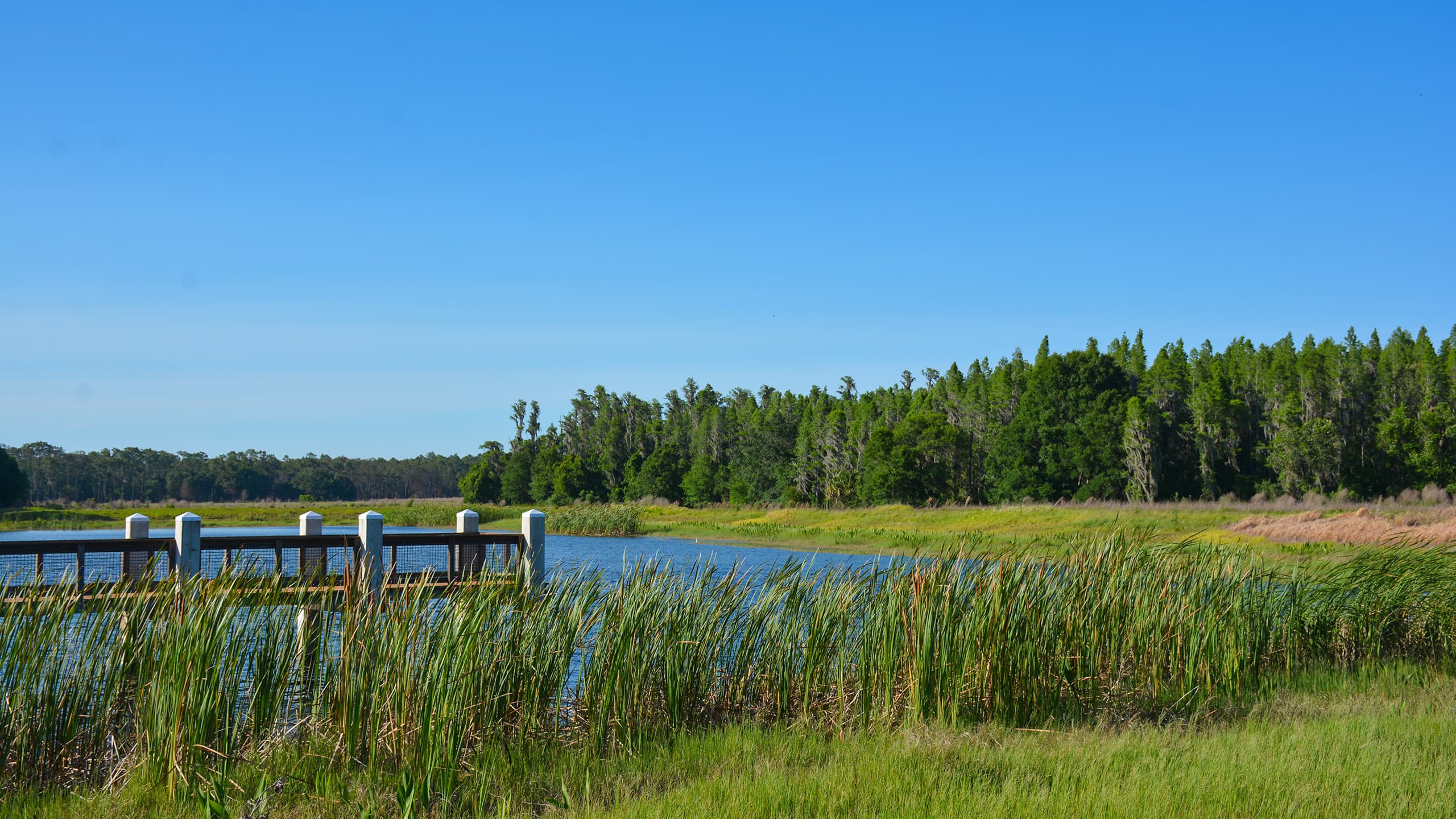 Colt-Creek-Mac-Lake-Day-Use-Area.jpg