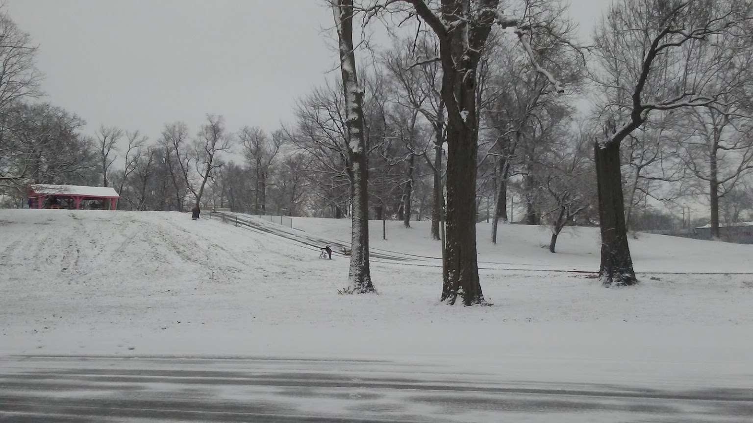 McCulloch Park11
