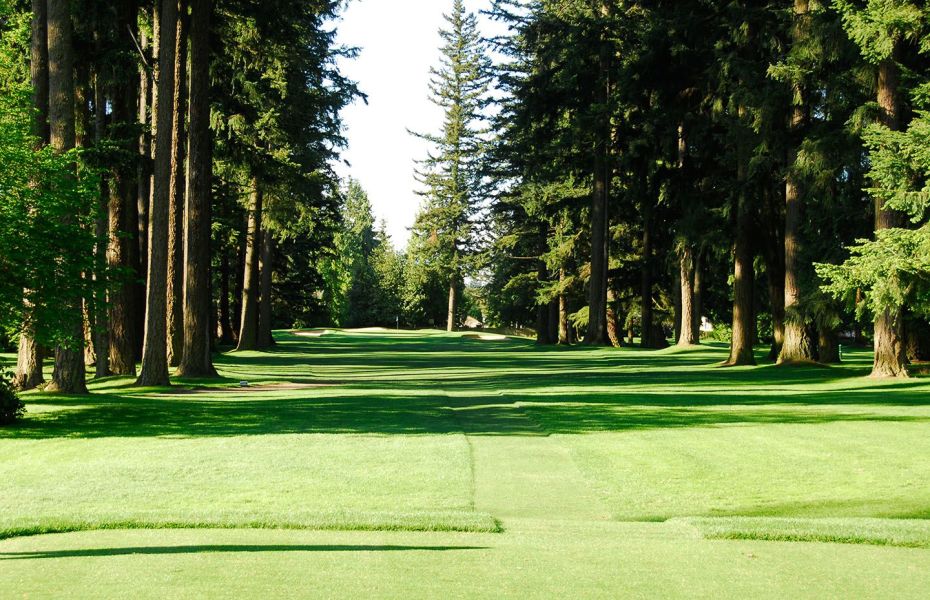 the course