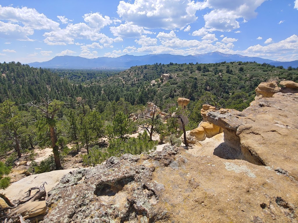 Palmer Park 4