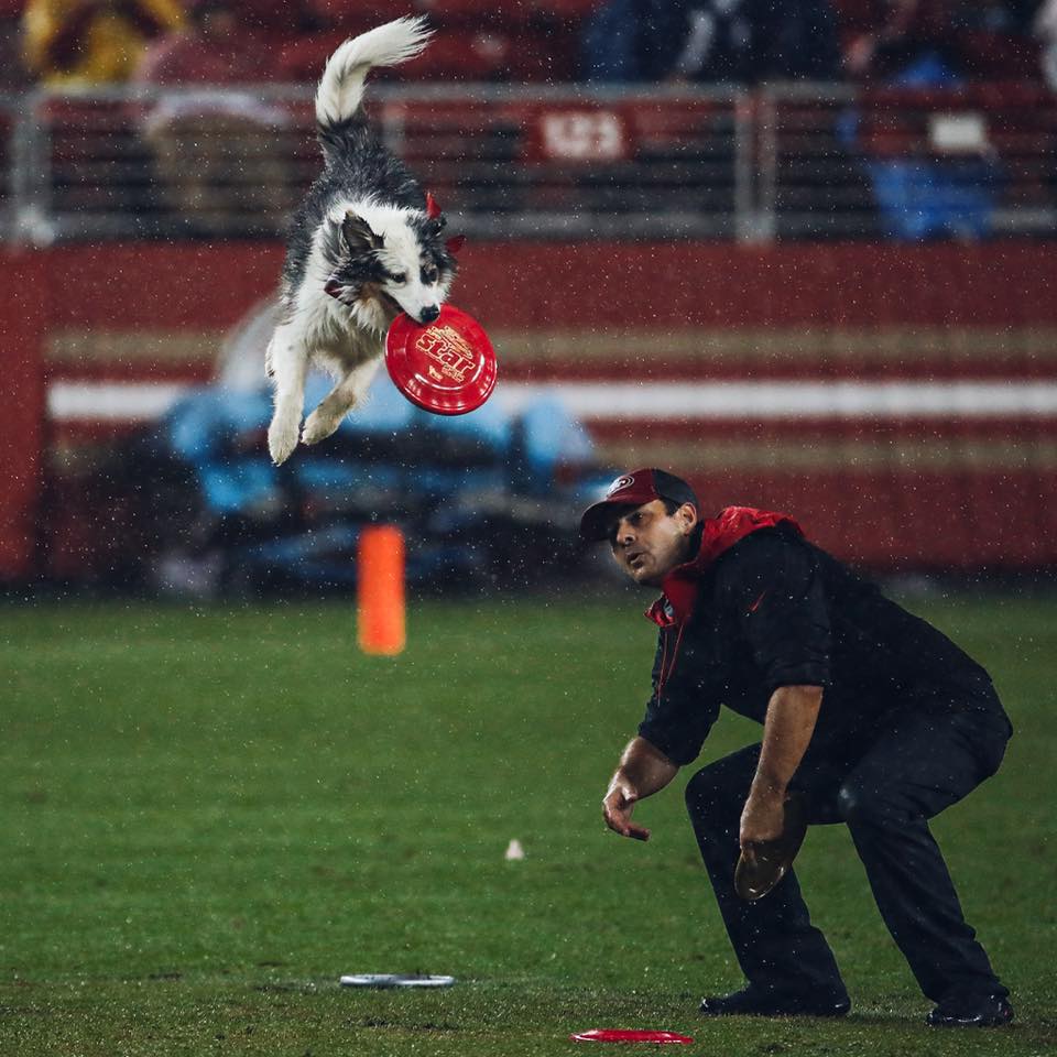 Levi's Stadium 3