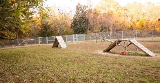 Pole dog park
