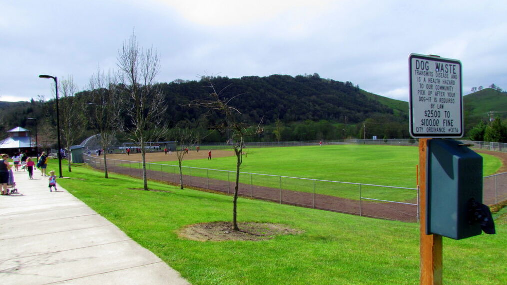 Sunshine Park 3