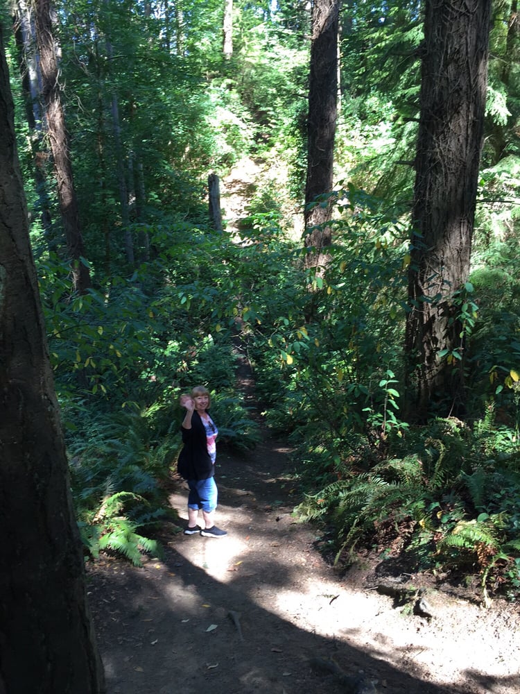 Forest Park6