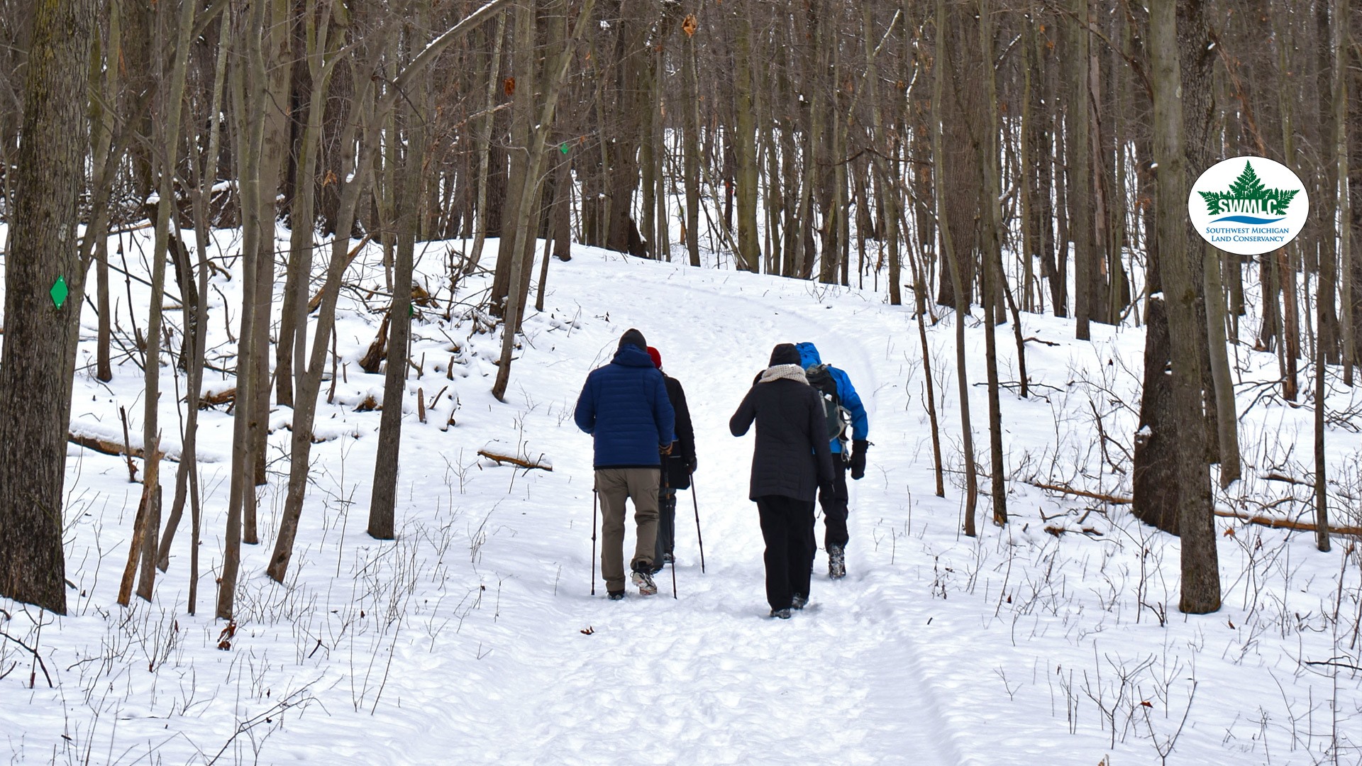 Portman Nature Preserve 2
