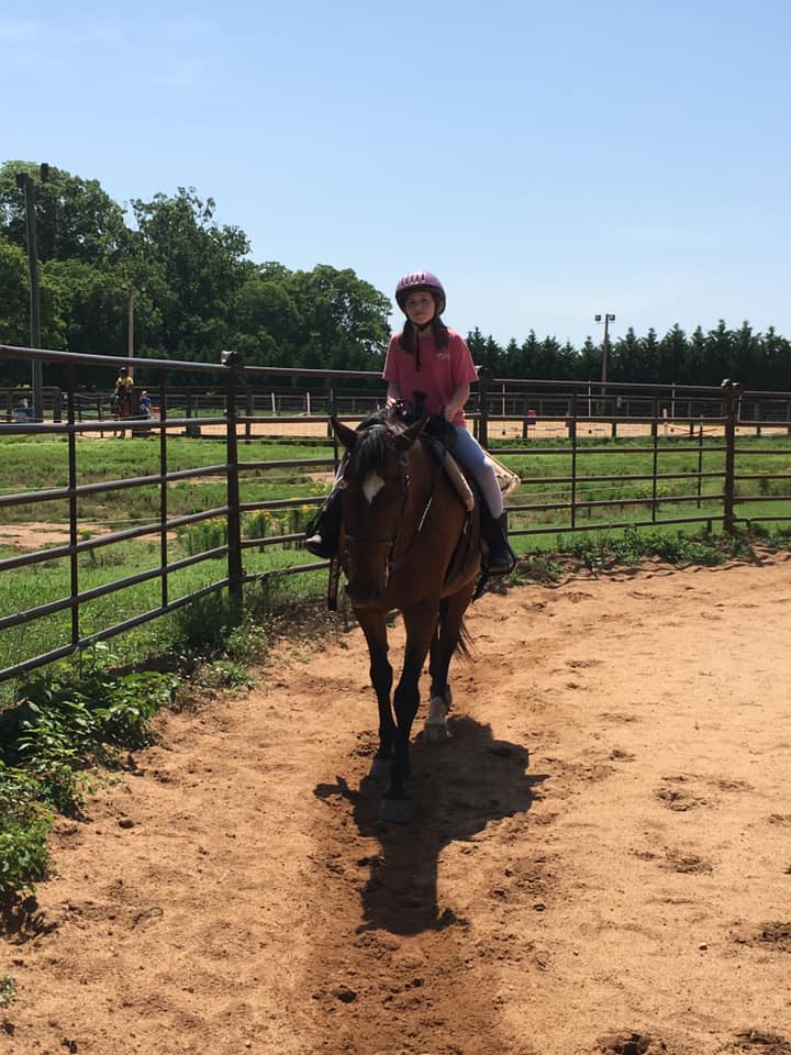 Gaston Farm Road Equestrian Center 6